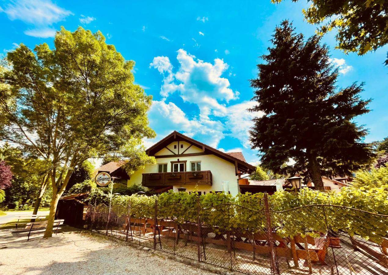 Balatonföldvár Sommer Panzio المظهر الخارجي الصورة
