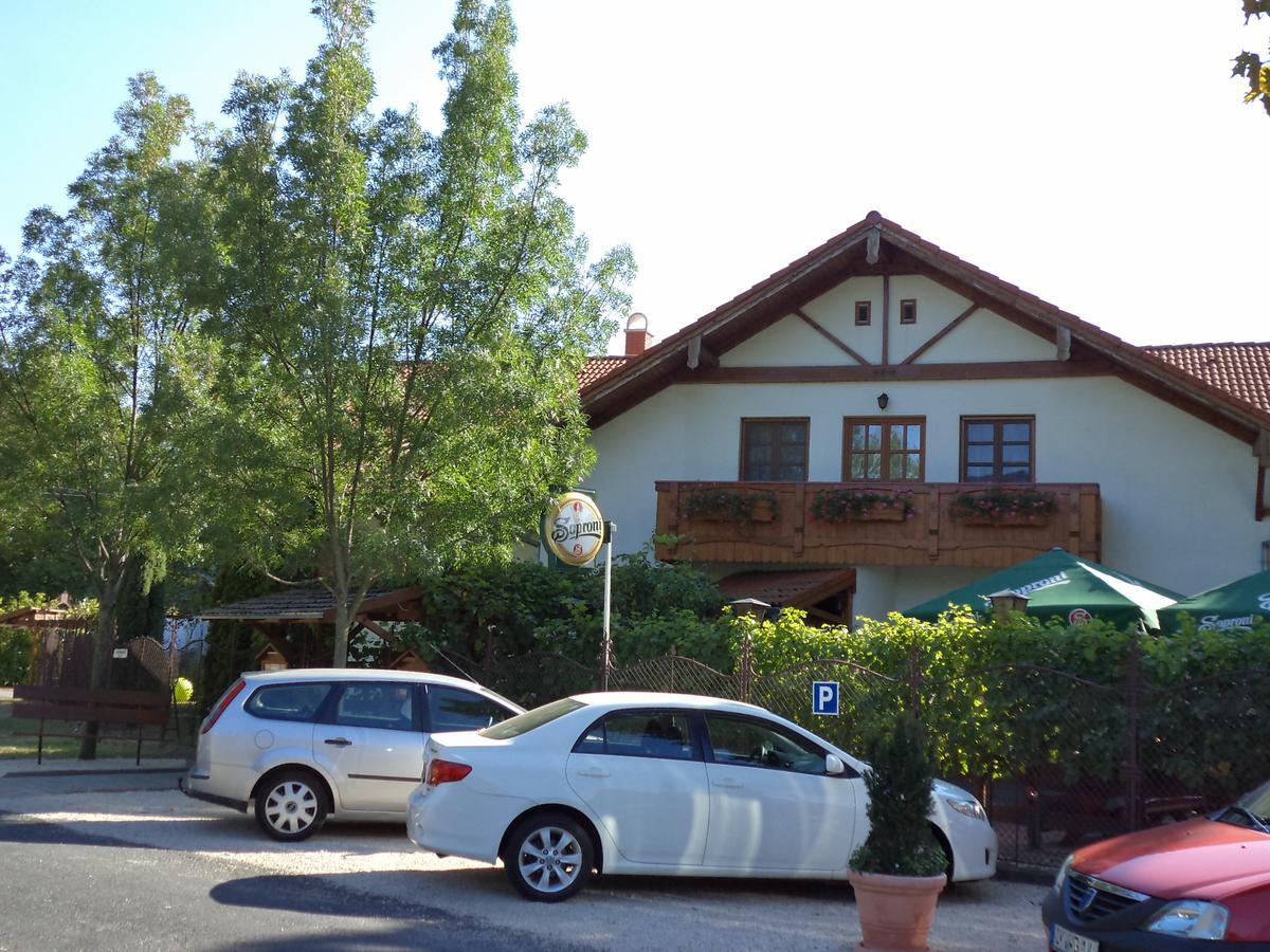Balatonföldvár Sommer Panzio المظهر الخارجي الصورة